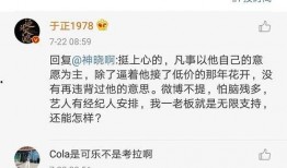 吃瓜系统娱乐圈小说讲解,吃瓜系统下的甜蜜复仇之旅